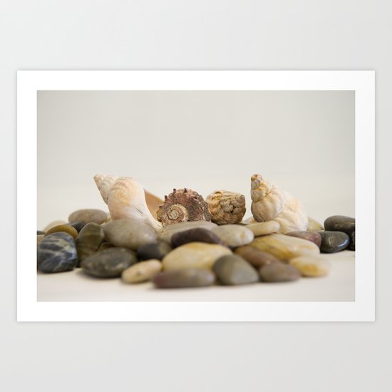 Seashells & Stones #1 #decor #art #society6 Art Print