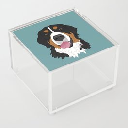 Bernese Mountain Dog Face Teal Acrylic Box