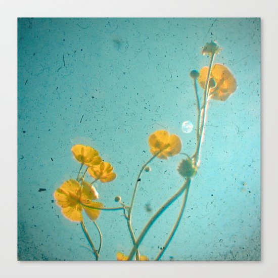Happiness is Canvas Print