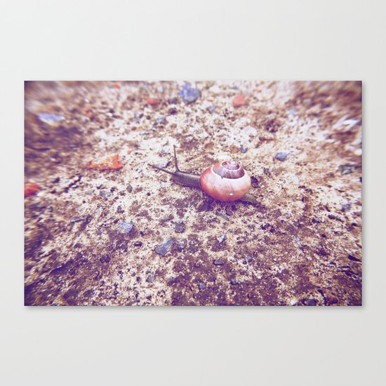 Escargot Canvas Print