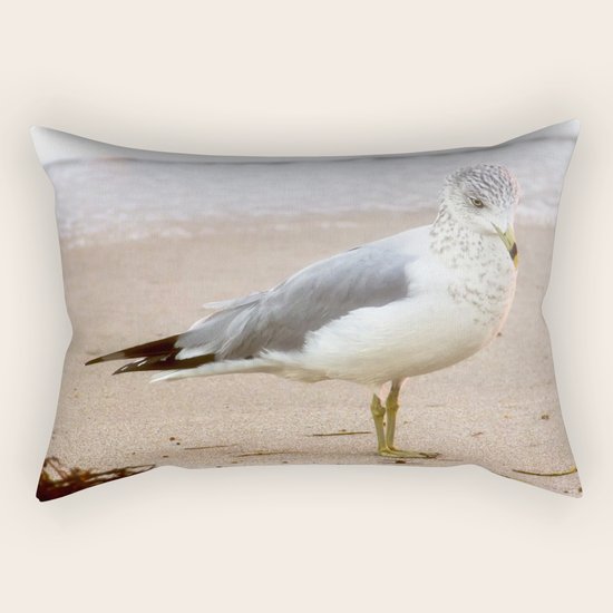 Seagull Rectangular Pillow