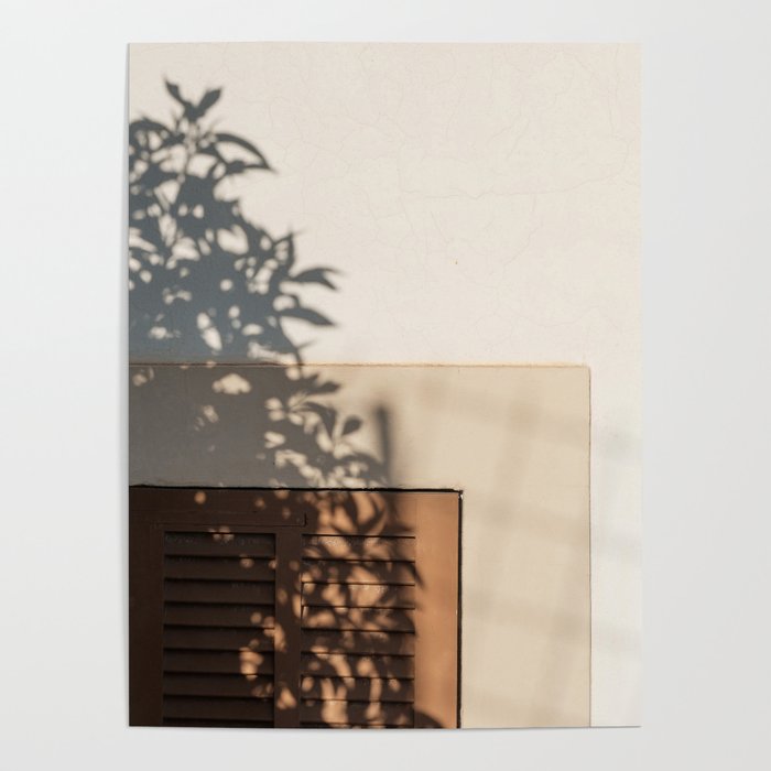 Shadow House Facade Poster