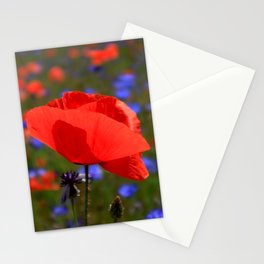 Beautiful Red Poppy Stationery Card