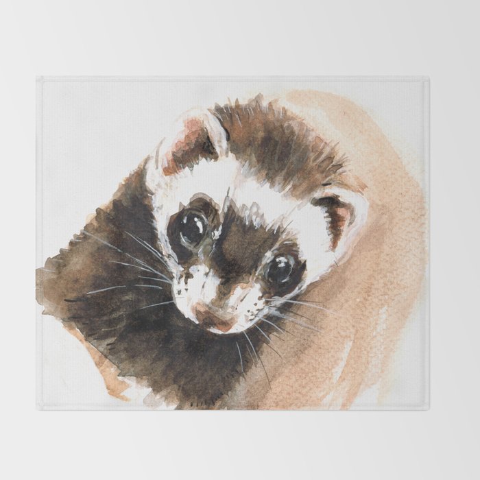 ferret blanket