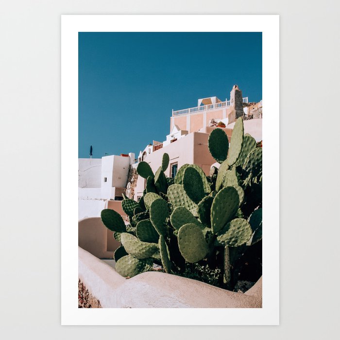 Succulent | Santorini, Greece Art Print