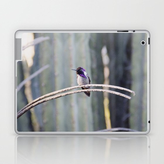 Hummingbird / Palm Springs Laptop & iPad Skin
