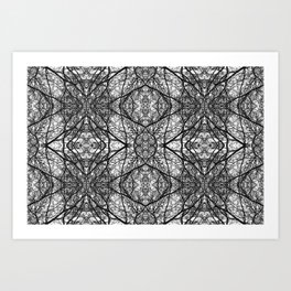 Reflection Art Print