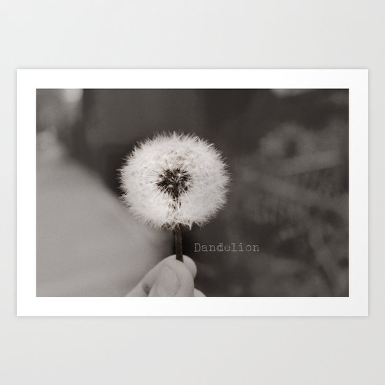 Dandelion Art Print