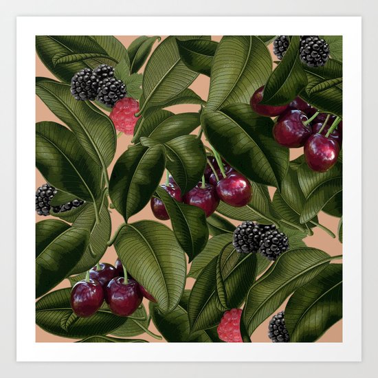 FRUITS AND LEAVES Art Print