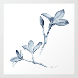 Monochrome frangipani flowers and branches Art Print