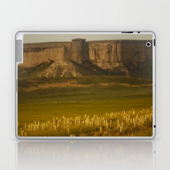 Wyoming Summer Laptop & iPad Skin