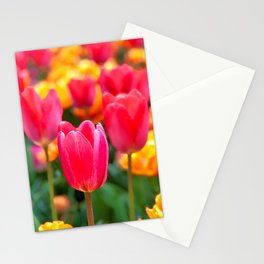 In Full Bloom Stationery Cards