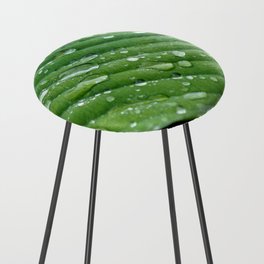 Raindrops on green leaf Counter Stool