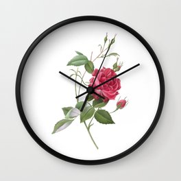 Bengal Rose Watercolour Botanical Wall Clock