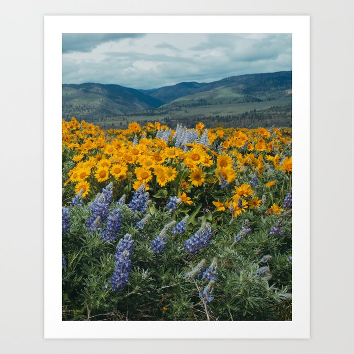 Art Print