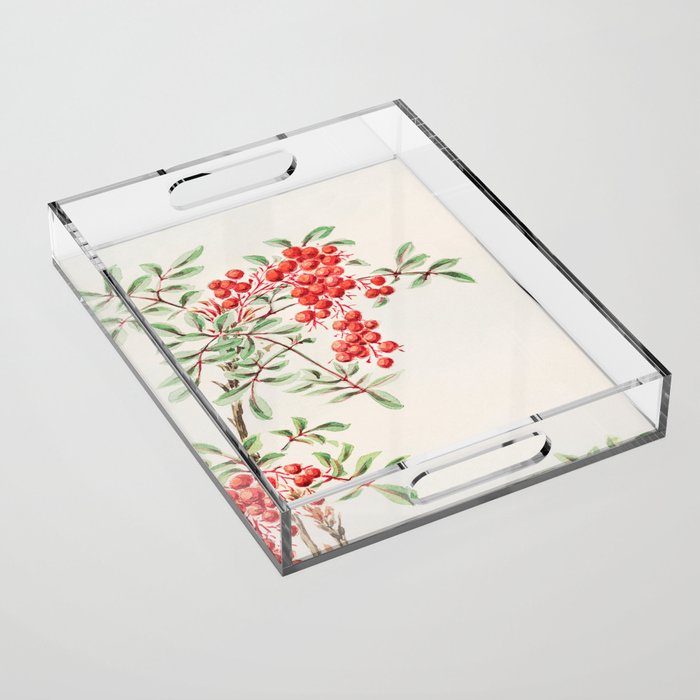 Vintage Japanese Painting Of Red Berry-Botanical Green Leaves Plant Acrylic Tray