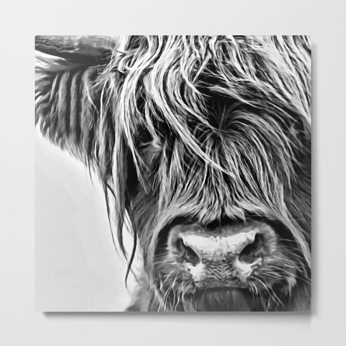 Black and White Highland Cow Metal Print