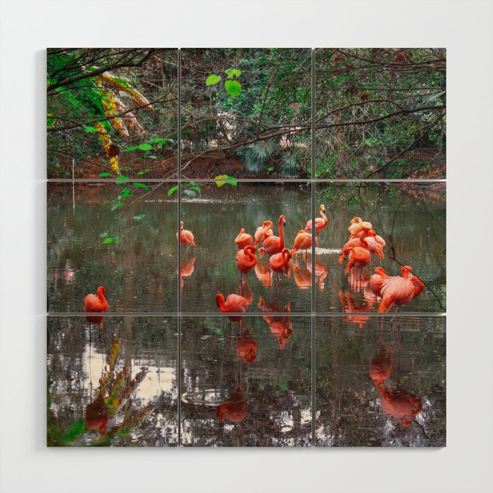 Flamingos at the zoo Wood Wall Art