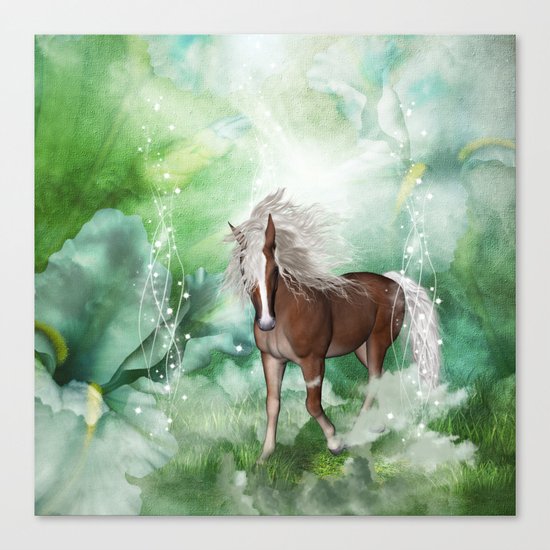 Beautiful horse Canvas Print