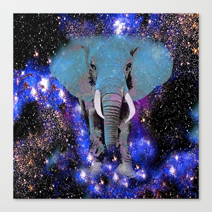 Elephant #6 Canvas Print