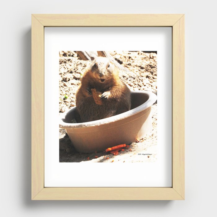 A Bowl Of Groundhog And Veggies Recessed Framed Print