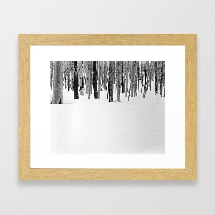 Quiet Woods Framed Art Print