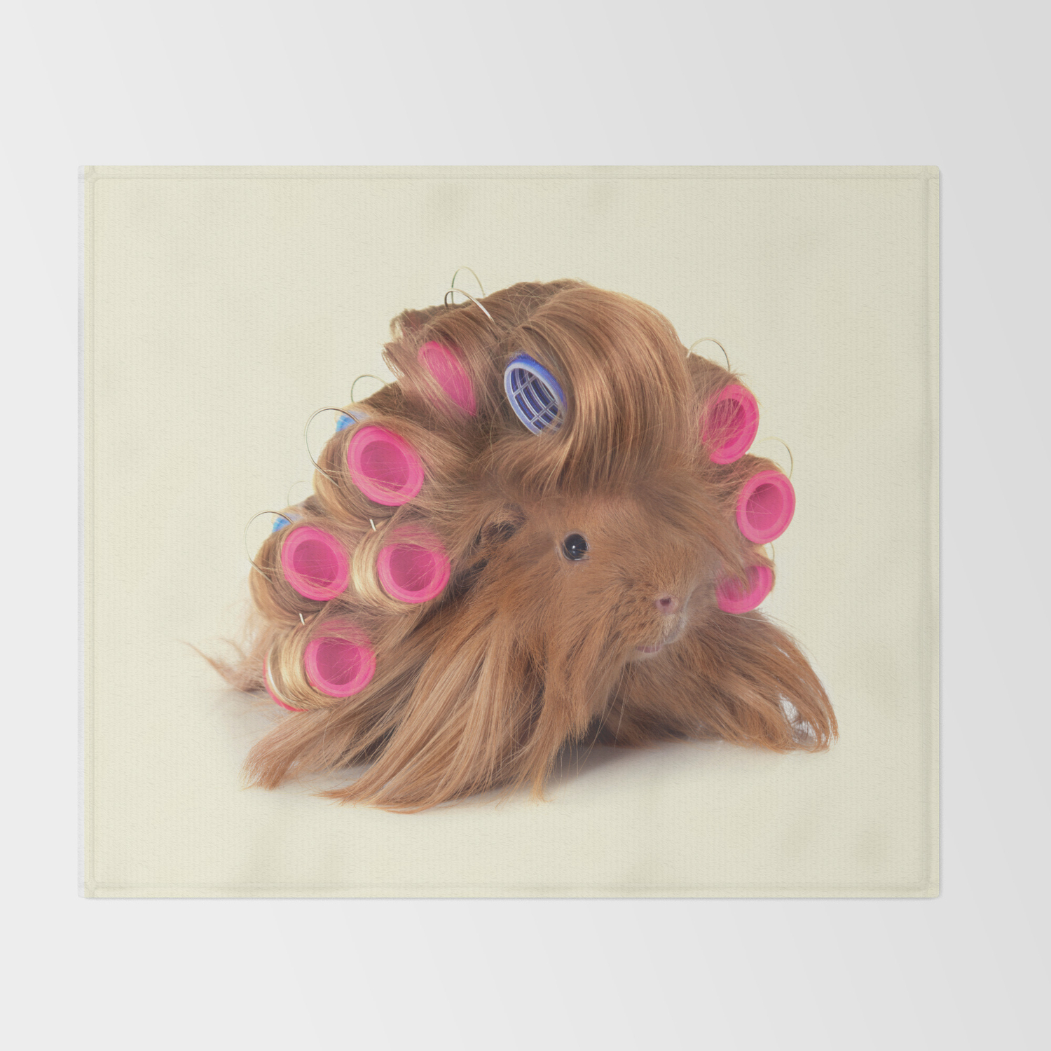 guinea pig throw blanket