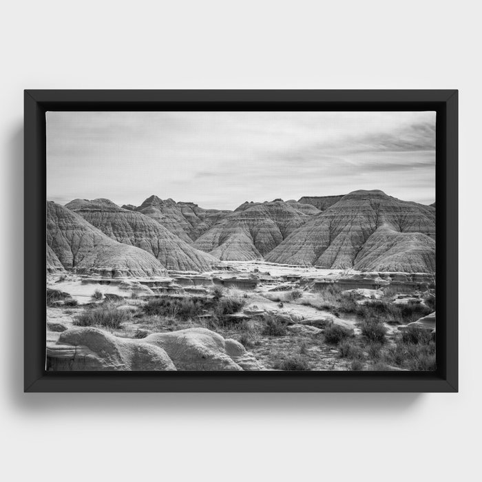 Black and White - Toadstool Natl Park Framed Canvas