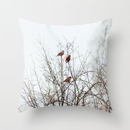 Bullfinches in bush Throw Pillow