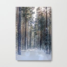 Sun forest Metal Print | Taiga, Frozentrees, Winterlandscape, Snow, Photo, Snowyforest, Nature, Snowyriver, Winter, Landscape 