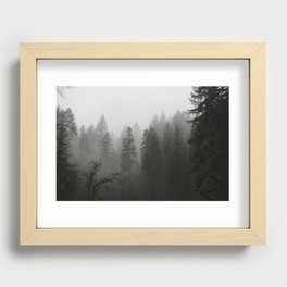 Forest Recessed Framed Print