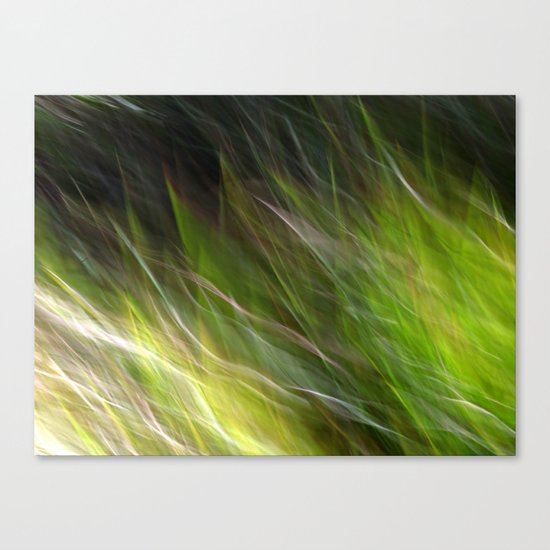 Watching the Wind Blow #2 Canvas Print