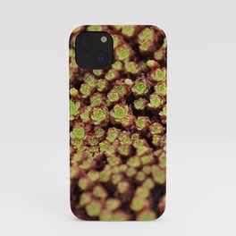 Tiny roses iPhone Case