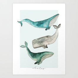 Whales Art Print