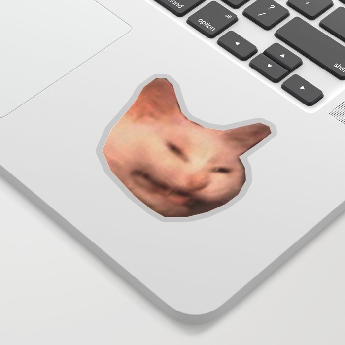 Smiling Grinning Cat Meme Sticker By Mchhome Society6