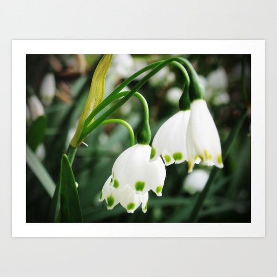 Spring Snowflake Art Print