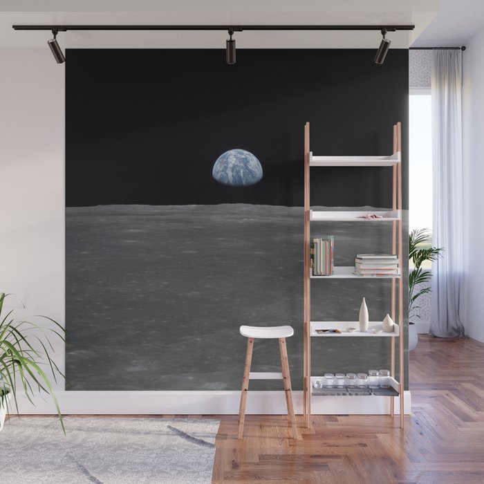 see the marble from the moon | space 005 Wall Mural
