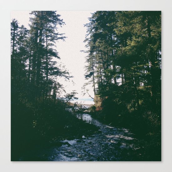 Short Sands Canvas Print