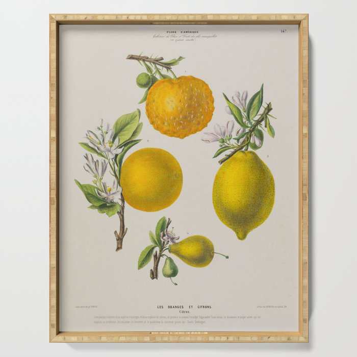 Citrus from "Flore d’Amérique" by Étienne Denisse, 1840s Serving Tray