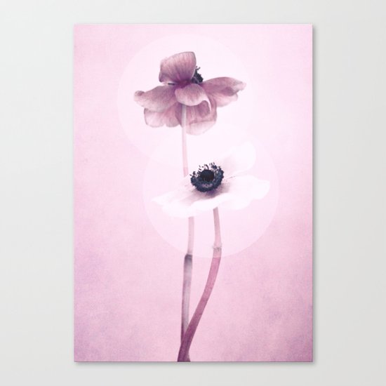 anemone Canvas Print