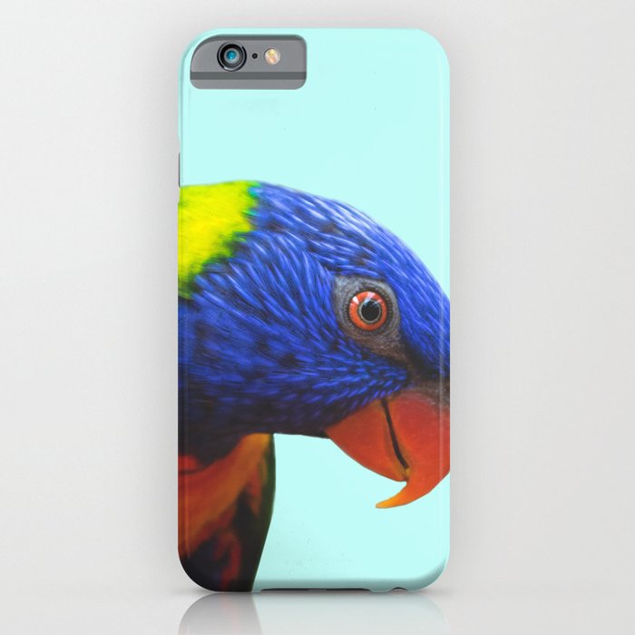 Parrot iPhone Case by sunnydayeveryday | Society6