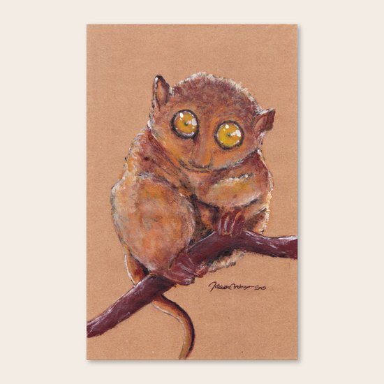 Tarsier Canvas Print