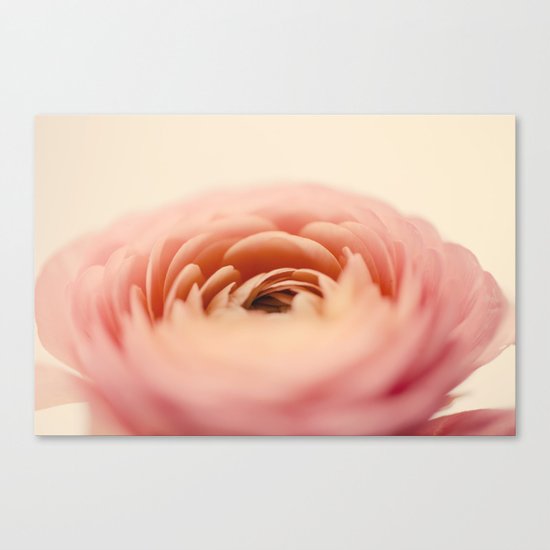 Pink Canvas Print