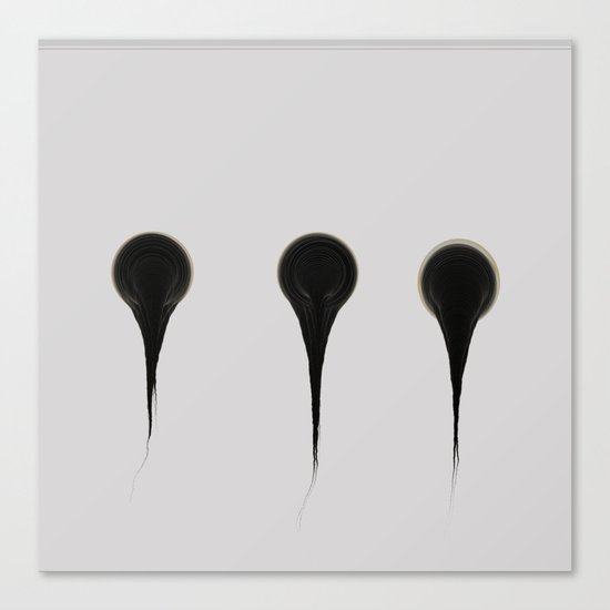 Seed Canvas Print
