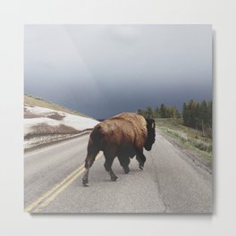 Street Walker Metal Print | Bison, Digital, Wyoming, Wild, Color, Wildlife, Yellowstone, Photo, Nature, Curated 