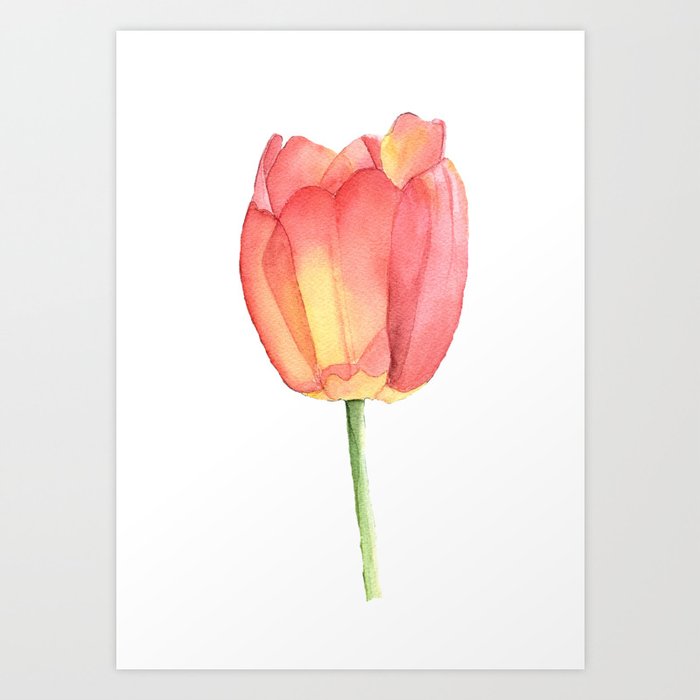 Red And Yellow Single Tulip In Watercolor Art Print By Landandseaartstudio Society6