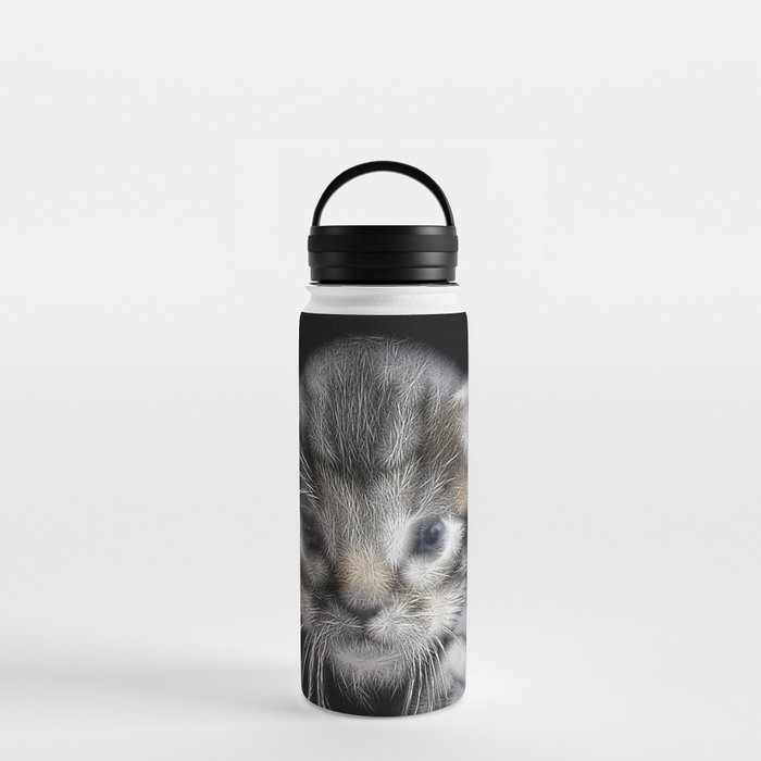 Spiked Grey Kitten Water Bottle