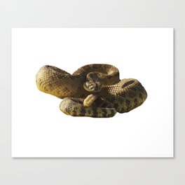 Rattlesnake Deadly Silence Canvas Print