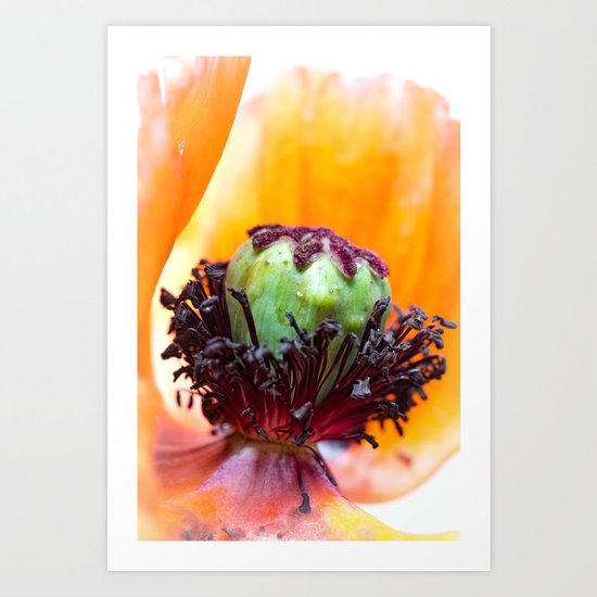 It's the heart that matters most.... Art Print
