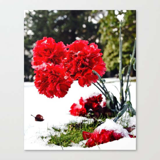 Frost flowers Canvas Print